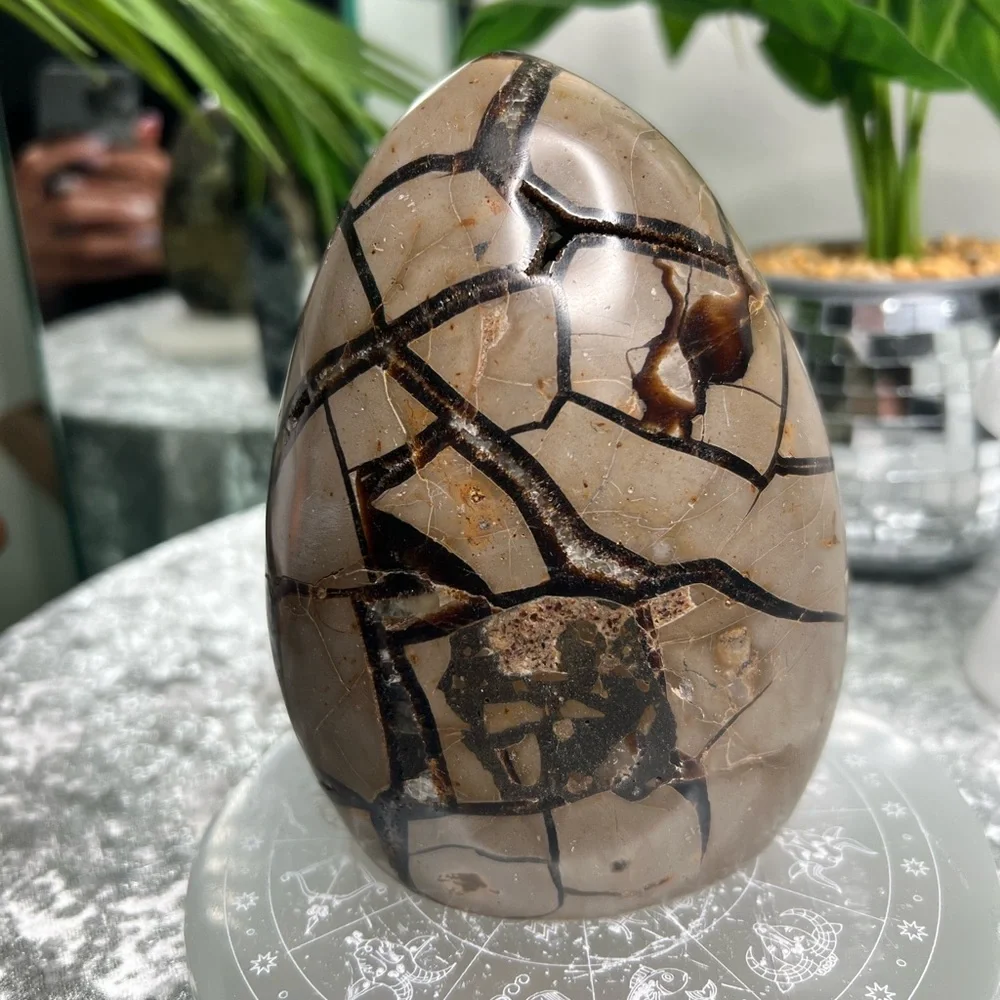 Septarian W Calcite Freeform- SF08 - Picture 2 of 4